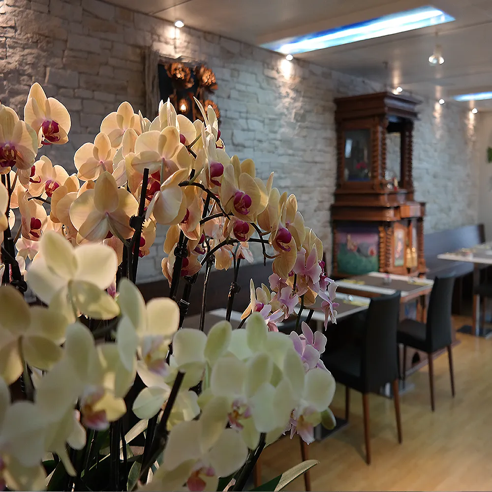 Restaurant mit Classic Stone Wandpaneelen